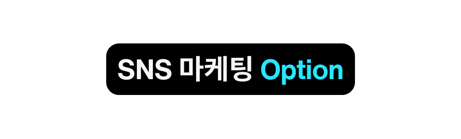 SNS 마케팅 Option