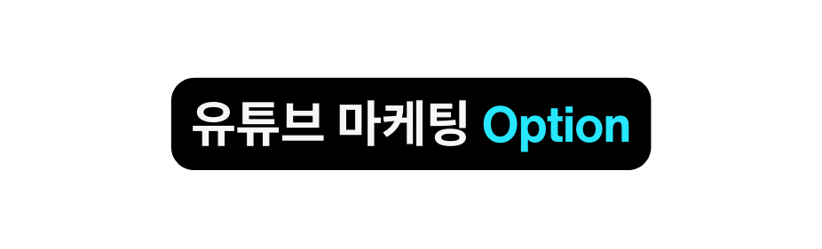 유튜브 마케팅 Option