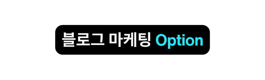 블로그 마케팅 Option