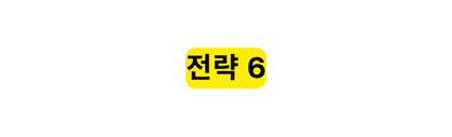 전략 6